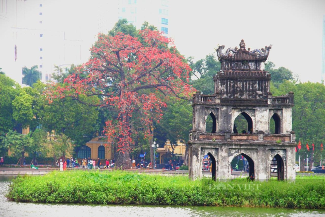 Bong Ha Noi Hostel ฮานอย ภายนอก รูปภาพ